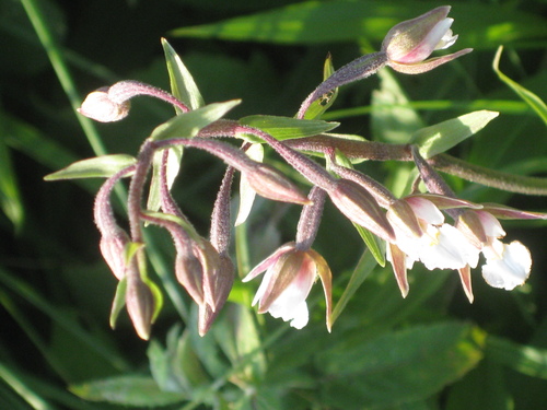 2139